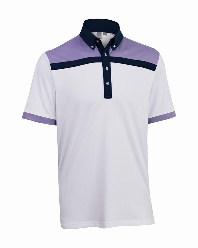 Ashworth Mens Block Print Polo